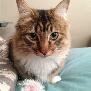 Meet your Posher, Erica